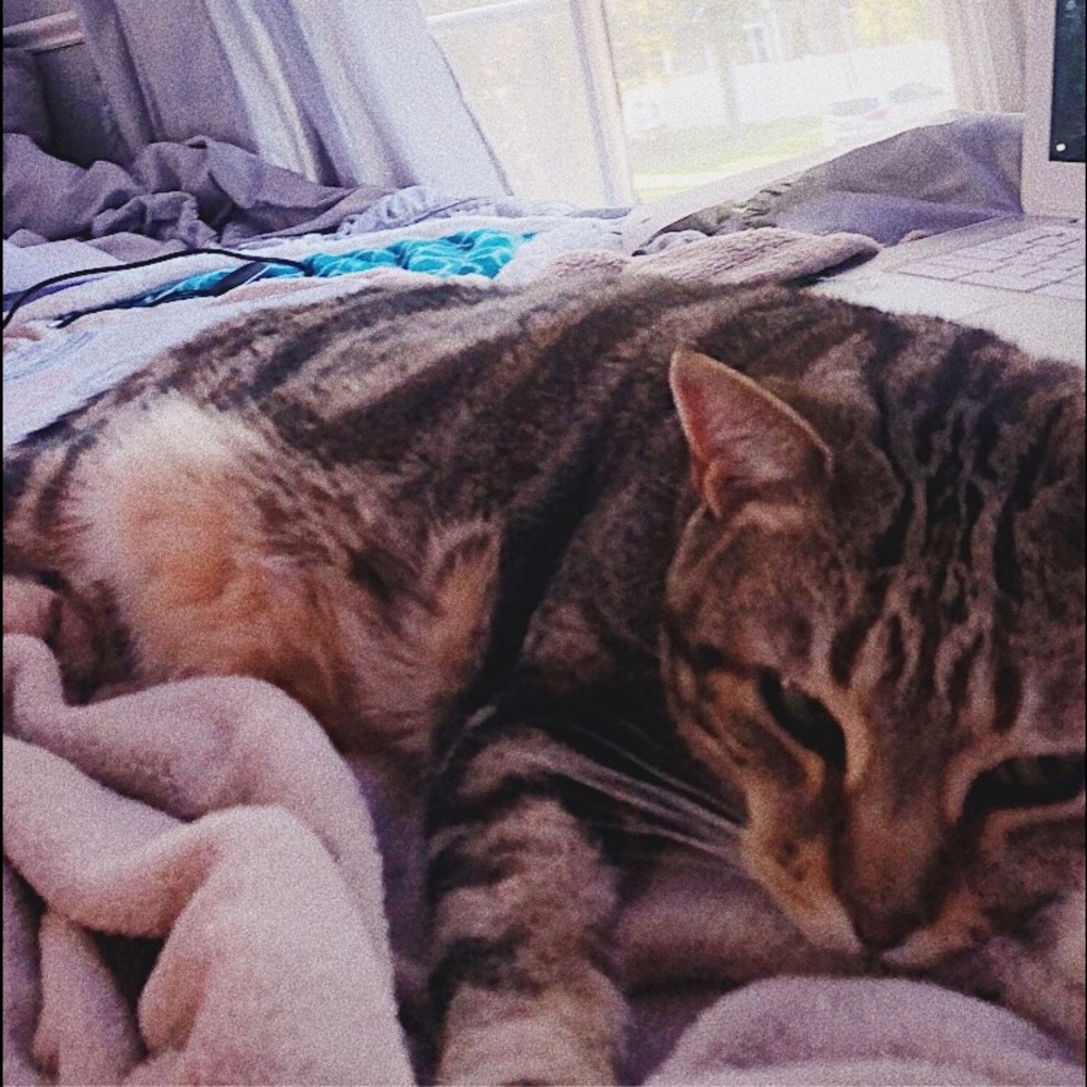 Meet your Posher, Christina